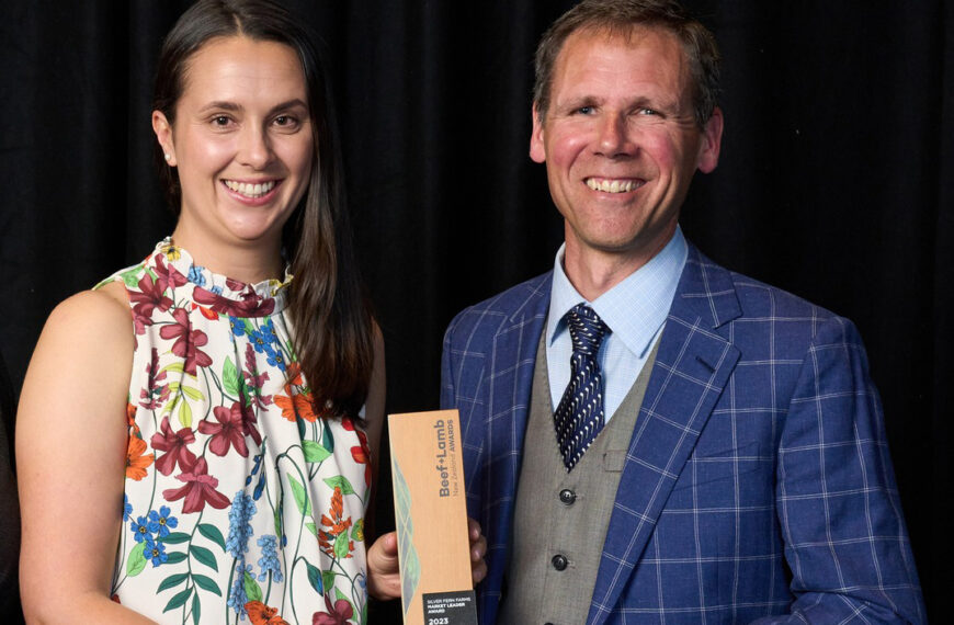 Veal initiative wins BLNZ award 
