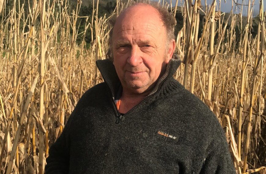Wairoa being ‘strangled’ by poor road access