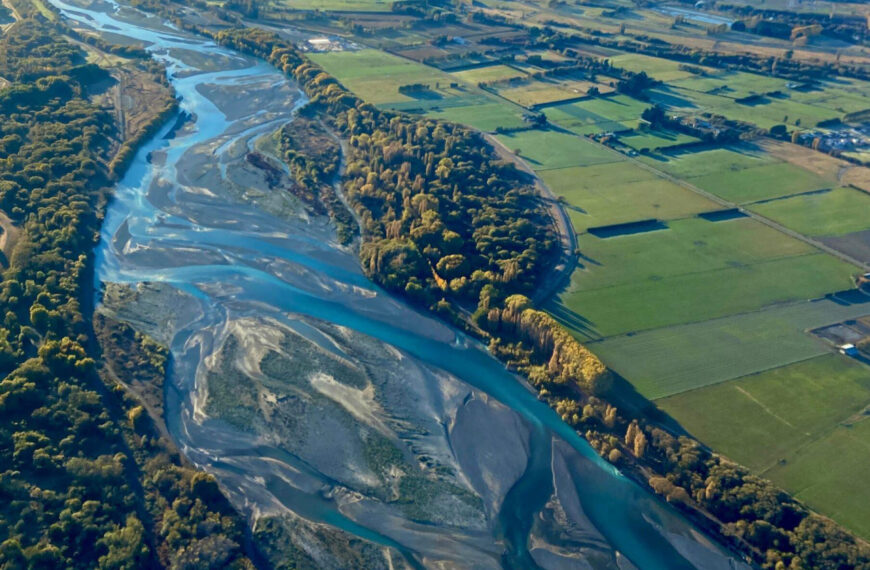 BLNZ doubles down as researcher rubbishes report