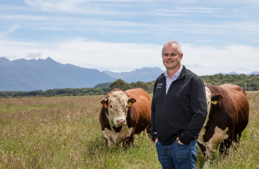 Invitation to help build better bulls